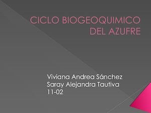 Ciclo Biogeoquimico Del Azufre