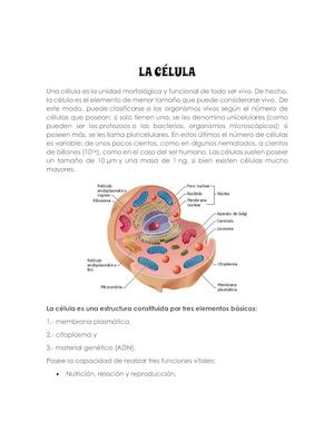 Material De Naturales Pdf
