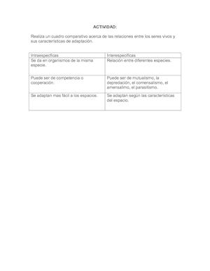 Actividad