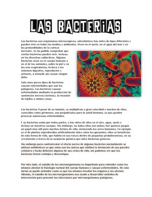 Las Bacterias Son Organismos Microscópicos
