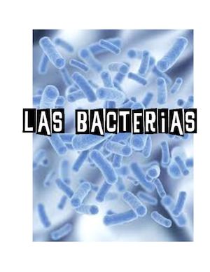 Las Bacterias Son Organismos Microscópicos