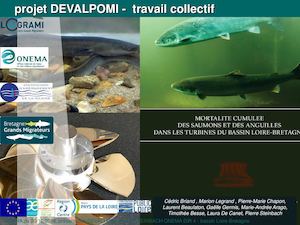 COMINA_20161020_diapo4