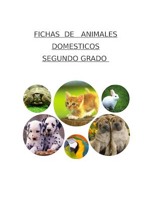 Fichas de animales