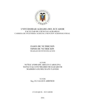 Fases De Nutricion
