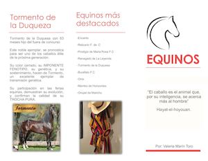 Valeria Marin Toro Folleto Equino