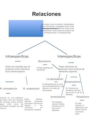 Relaciones Entre Los Seres Vivos