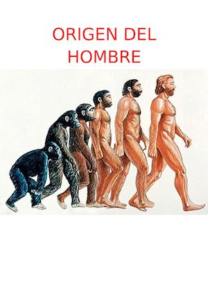 Origen Del Hombre