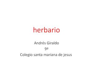 Herbario