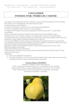 Fiche Descriptives Cognassier
