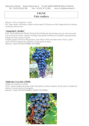 Fiche Descriptives Vignes
