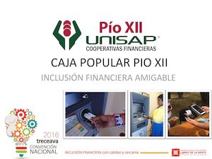 Grafica Caja Pio Xii