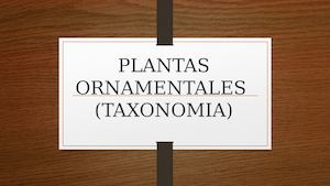 Plantas Ornamentales