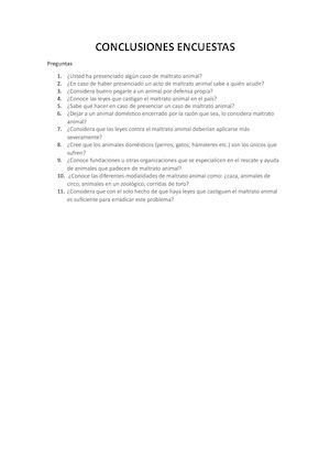 Conclusiones Resultados Encuestas Y Entrevistas