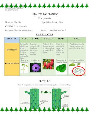 Gia De Las Plantas