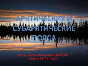 Арктические и субарктические пояса