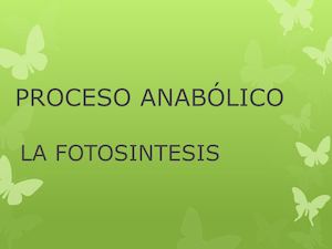 Fotosíntesis Anabolismo