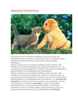 Animales Domesticos