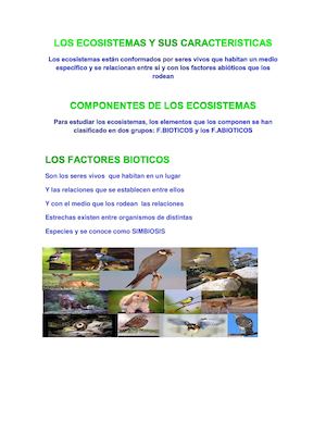Los Ecosistemas Y Sus Caracteristicas