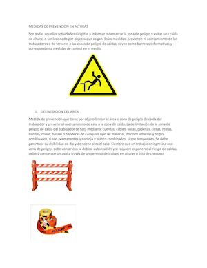 Medidas De Prevencion En Alturas
