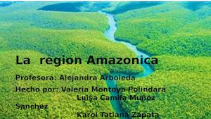 La Region Amazonica
