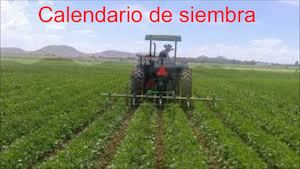 Calendario De Siembra