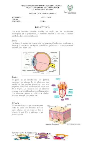 Los Sentidos Guia