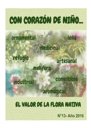 Libro "Con corazón de niño" 2016