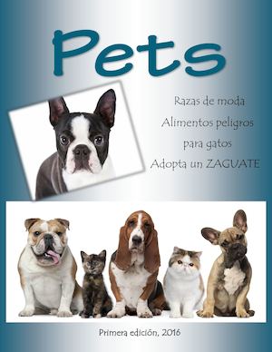 Revista Zelene Gutiérrez