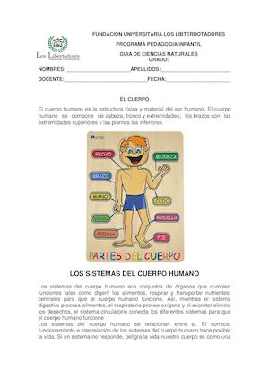 Guia # 8 El Cuerpo