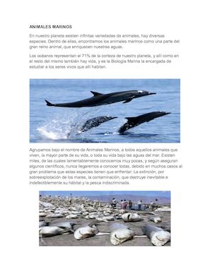 Animales Marinos