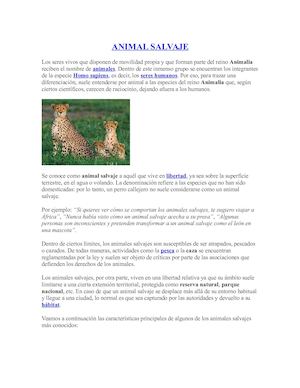 Animal Salvaje