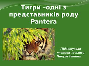 Презентація про тигрів