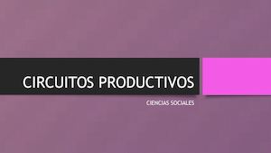 Circuitos Productivos