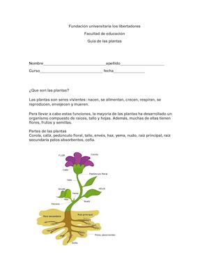 Fundación Universitaria Los Libertadores Las Plantas