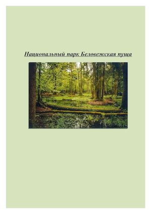 Национальный парк Беловежская пуща