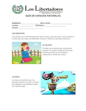 Guía De Ciencias Naturales Los Sentidos