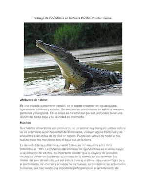 Manejo De Cocodrilos En Costa Rica 2