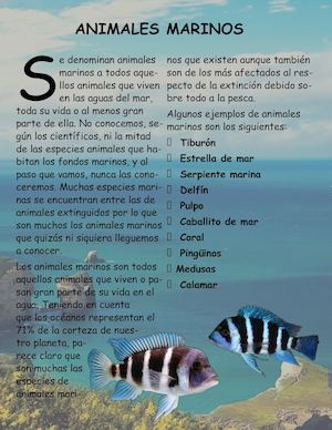 Animales Marinos