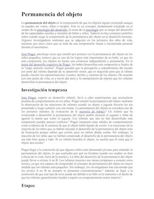 Permanencia Del Objeto