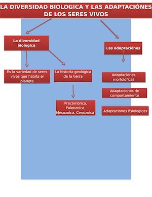 Mapa Conceptual Biologia Pags 176 178