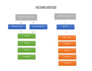 Mapa Conceptual Relaciones