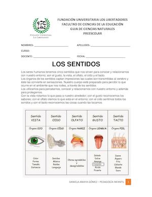 Guía Los Sentidos
