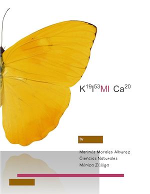 Revista De Química
