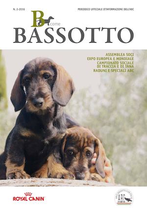 Bcome Bassotto 2 2016