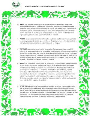 Guia De Los Animales Vertebrados Y Invertebrados