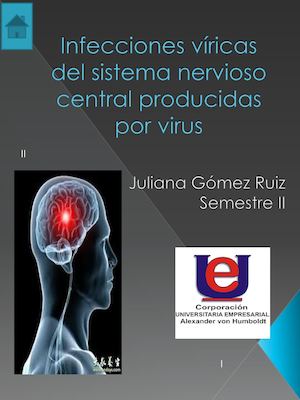 Infecciones Víricas Del Sistema Nervioso Central