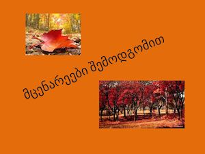 მცენარეები შემოდგომაზე