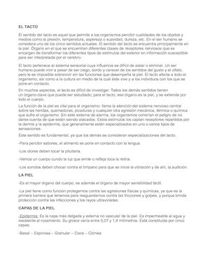 El Tacto