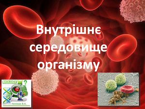 Внутрішнє середовище організму