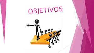Objetivos